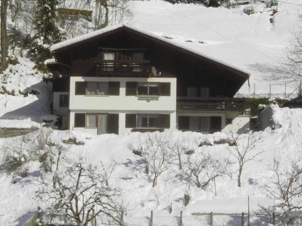 Gaestehaus Andrea Schruns Exterior photo